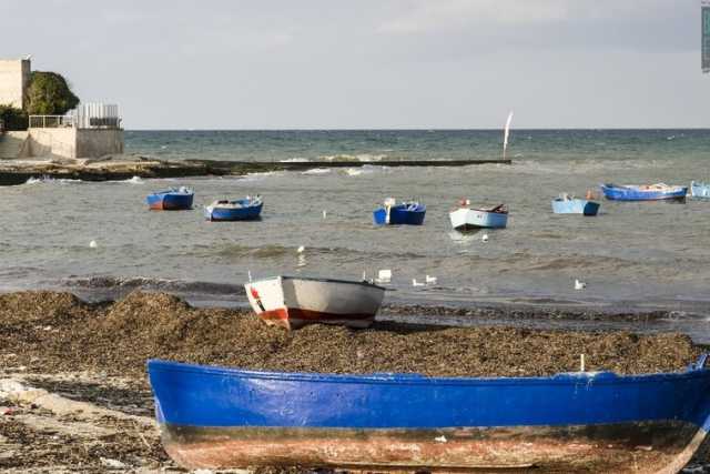 Bari, cala Pantano: tra alghe e gozzi il porticello che "vive" un solo giorno all'anno